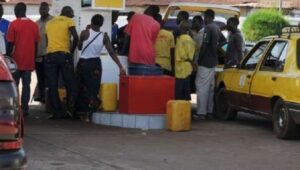 CREATOR: gd-jpeg v1.0 (using IJG JPEG v62), quality = 100