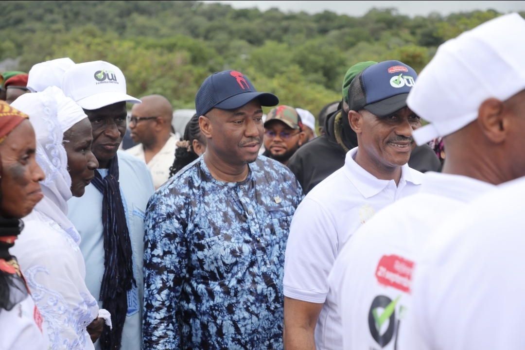 Screenshot_20250911_030222_Gallery